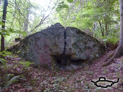 tl297